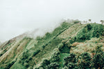 Load image into Gallery viewer, El Paraiso Anaerobic Lychee: El Paraiso farm landscape (image 3)
